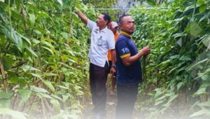 Screenshot_20250213_103614_Lite