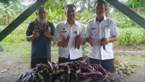 Screenshot_20251120_143032_Lite