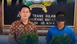 Screenshot_20251203_212434_Lite